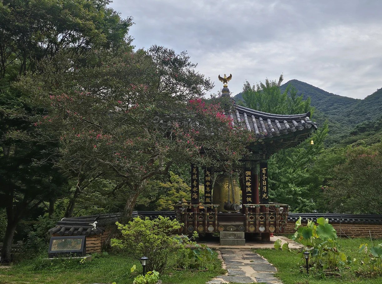 천봉산 능선 아래 자리한 대원사